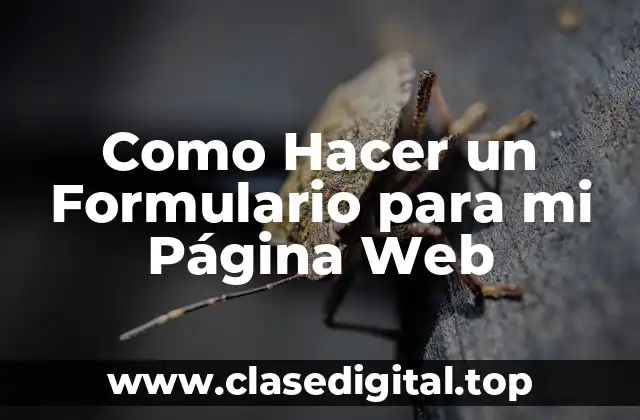 Que es un Formulario para una Página Web
