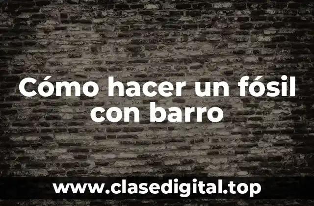 Cómo hacer un fósil con barro