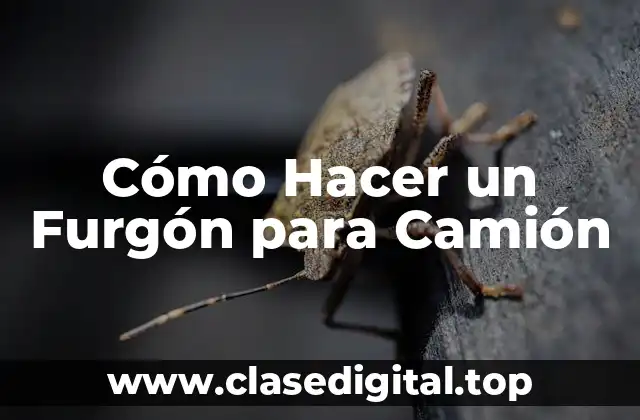 Cómo Hacer un Furgón para Camión