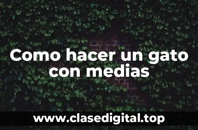 Como hacer un gato con medias