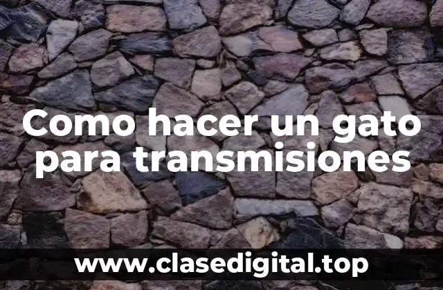 Que es un gato para transmisiones