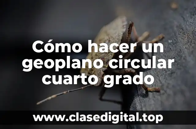 Cómo hacer un geoplano circular cuarto grado