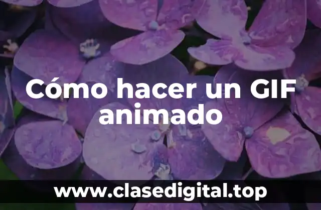 Cómo hacer un GIF animado