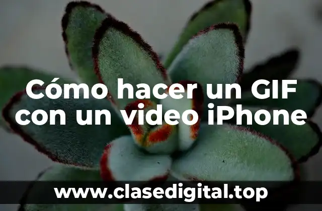 Cómo hacer un GIF con un video iPhone