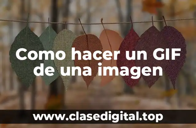 Como hacer un GIF de una imagen