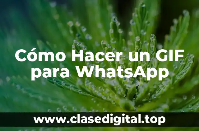Cómo Hacer un GIF para WhatsApp