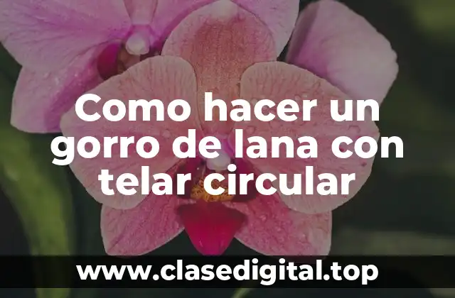 ¿Qué es un telar circular y para qué sirve?