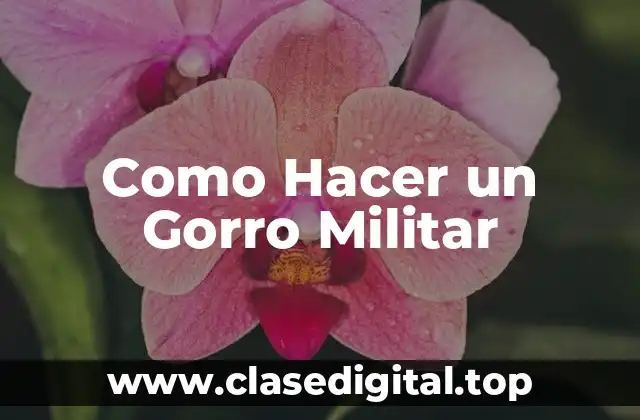 ¿Qué es un Gorro Militar?