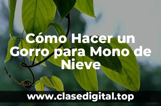 Cómo Hacer un Gorro para Mono de Nieve