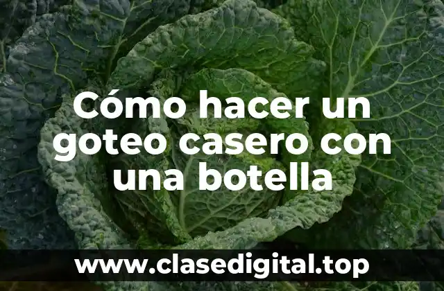 Cómo hacer un goteo casero con una botella