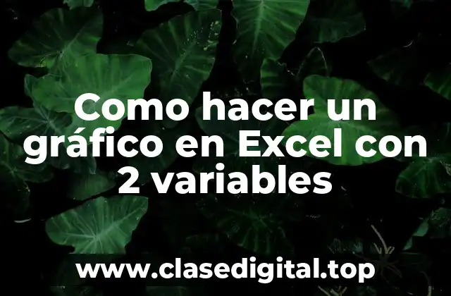 Como hacer un gráfico en Excel con 2 variables