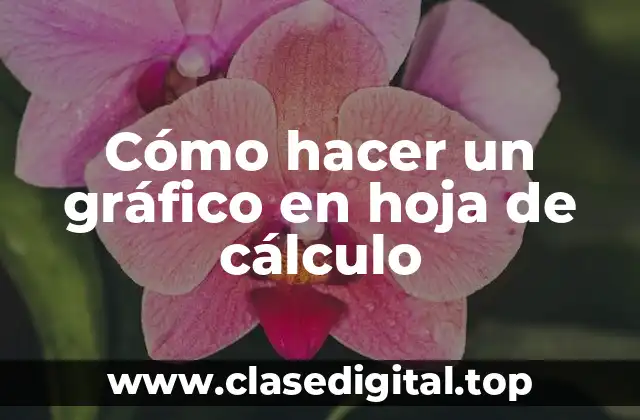 Cómo hacer un gráfico en hoja de cálculo