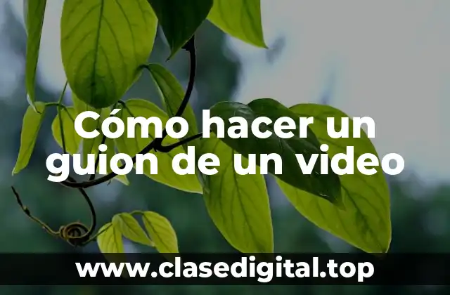 Cómo hacer un guion de un video