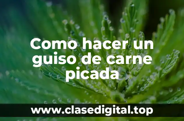 Como hacer un guiso de carne picada