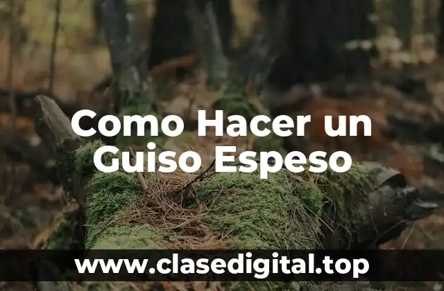 Como Hacer un Guiso Espeso