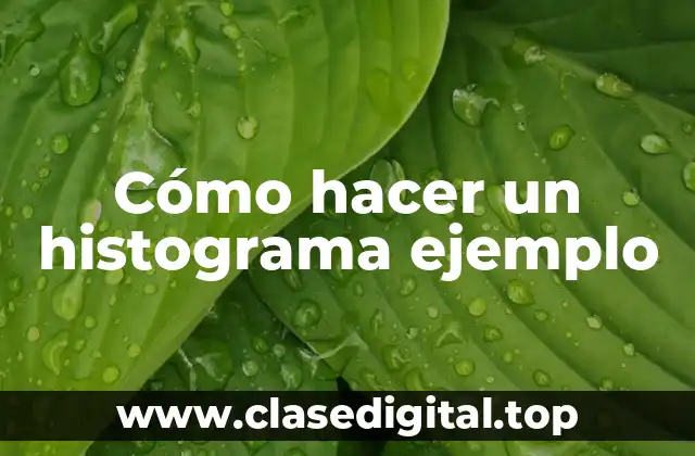 Cómo hacer un histograma ejemplo