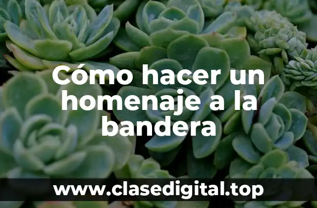 Cómo hacer un homenaje a la bandera