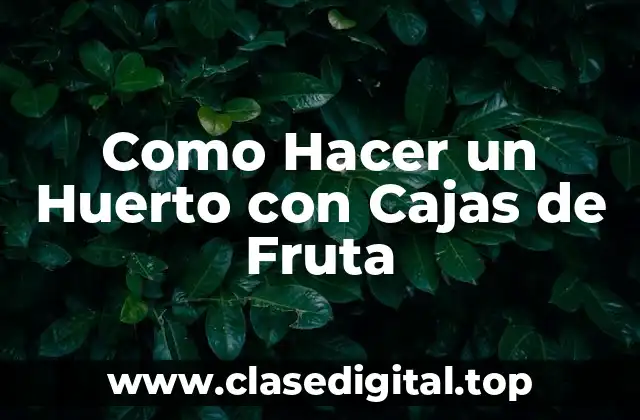 Como Hacer un Huerto con Cajas de Fruta