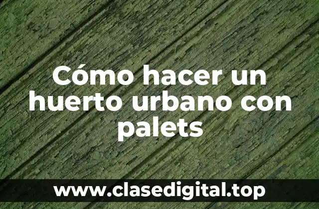 Cómo hacer un huerto urbano con palets
