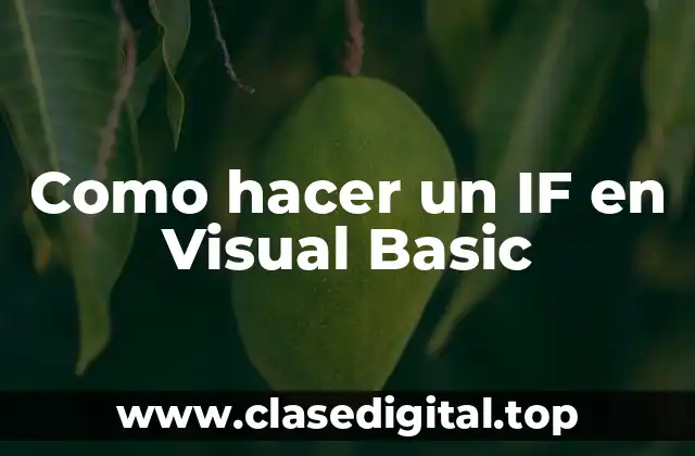 Como hacer un IF en Visual Basic