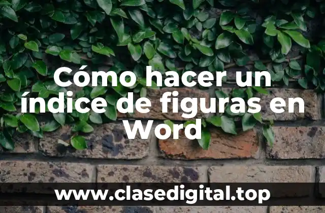 Cómo hacer un índice de figuras en Word
