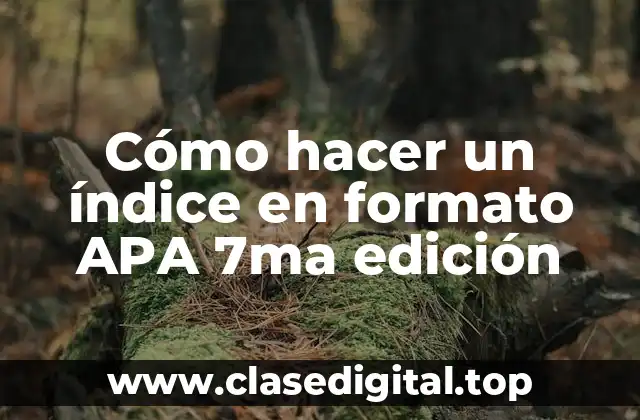 Cómo hacer un índice en formato APA 7ma edición