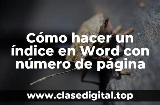 Cómo hacer un índice en Word con número de página