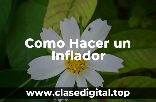 El Inflador: Qué es, Para Qué Sirve y Cómo se Usa