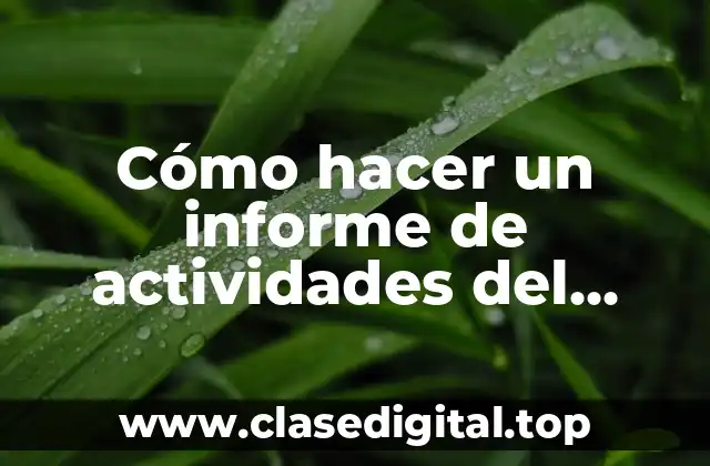 Cómo hacer un informe de actividades del servicio social