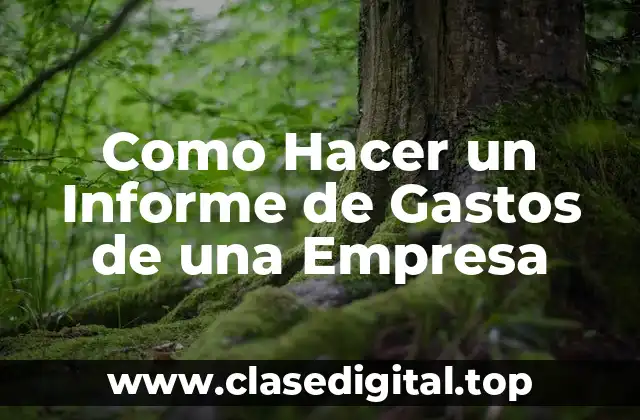 Como Hacer un Informe de Gastos de una Empresa