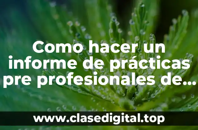 Como hacer un informe de prácticas pre profesionales de administración