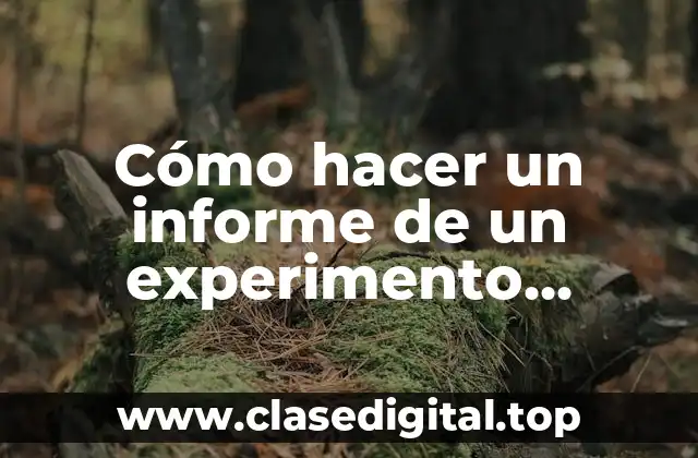 Cómo hacer un informe de un experimento ejemplo