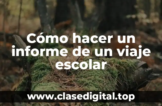 Cómo hacer un informe de un viaje escolar