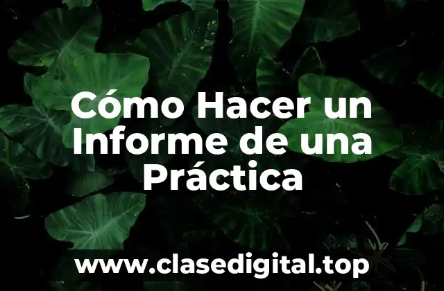 Cómo Hacer un Informe de una Práctica