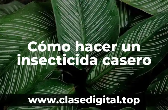Cómo hacer un insecticida casero