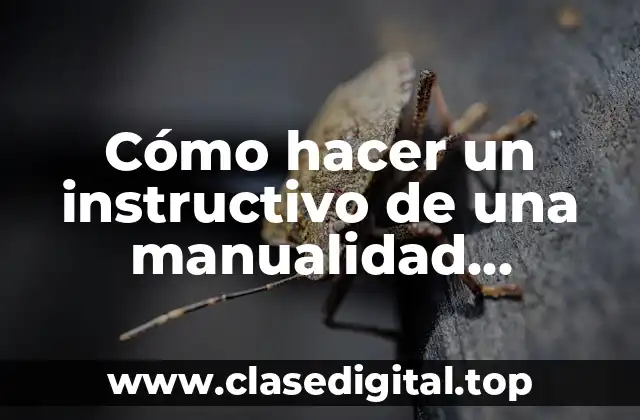 Cómo hacer un instructivo de una manualidad navideña
