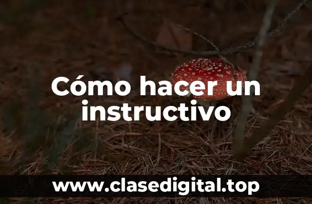 Cómo hacer un instructivo