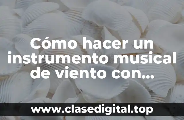 ¿Qué es un instrumento musical de viento y cómo funciona?