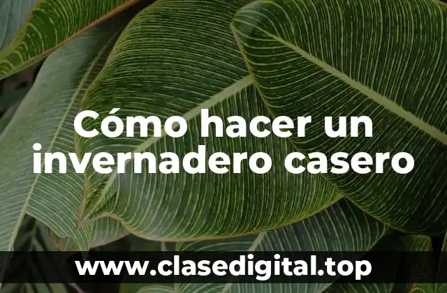 Cómo hacer un invernadero casero
