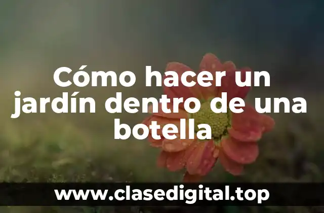 Cómo hacer un jardín dentro de una botella
