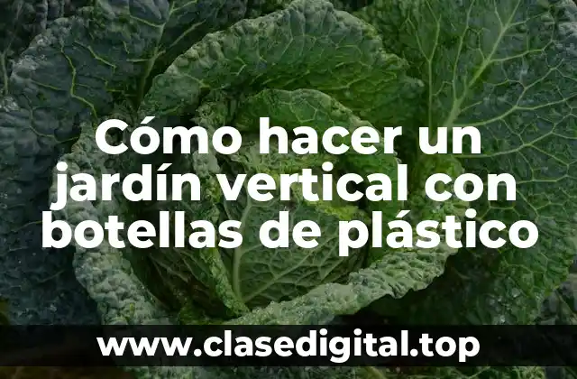 Cómo hacer un jardín vertical con botellas de plástico