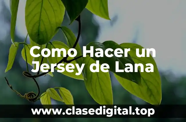 Como Hacer un Jersey de Lana