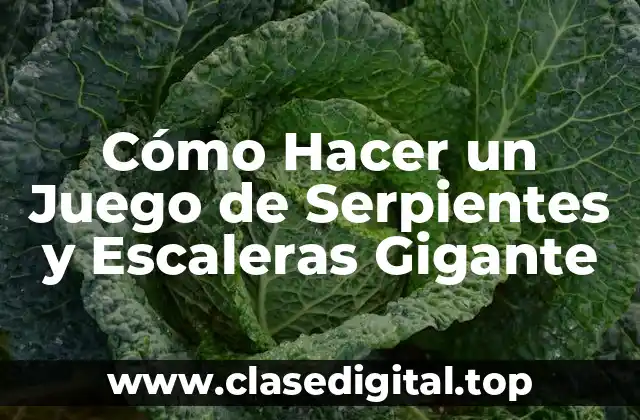 Cómo Hacer un Juego de Serpientes y Escaleras Gigante
