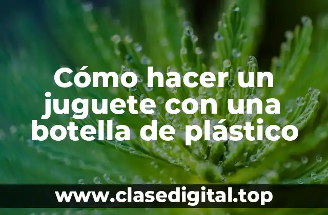 Cómo hacer un juguete con una botella de plástico