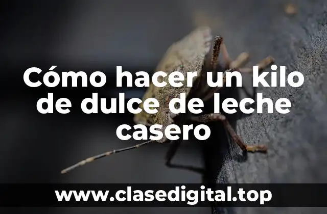 Cómo hacer un kilo de dulce de leche casero