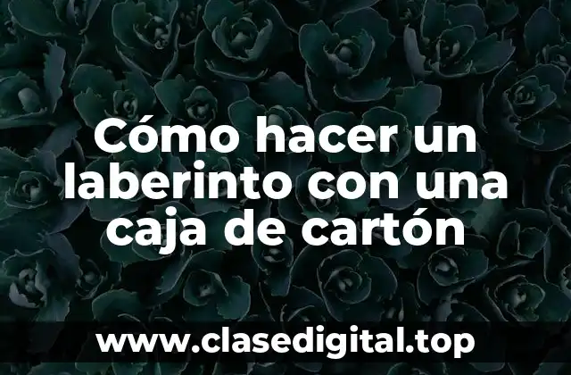 Cómo hacer un laberinto con una caja de cartón