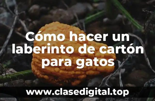 Cómo hacer un laberinto de cartón para gatos