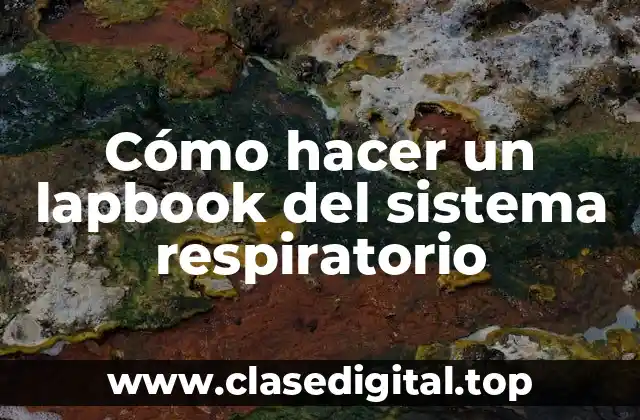 Cómo hacer un lapbook del sistema respiratorio