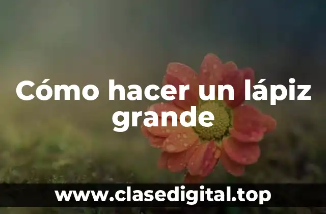 ¿Qué es un lápiz grande y para qué sirve?