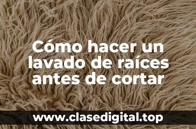 Cómo hacer un lavado de raíces antes de cortar